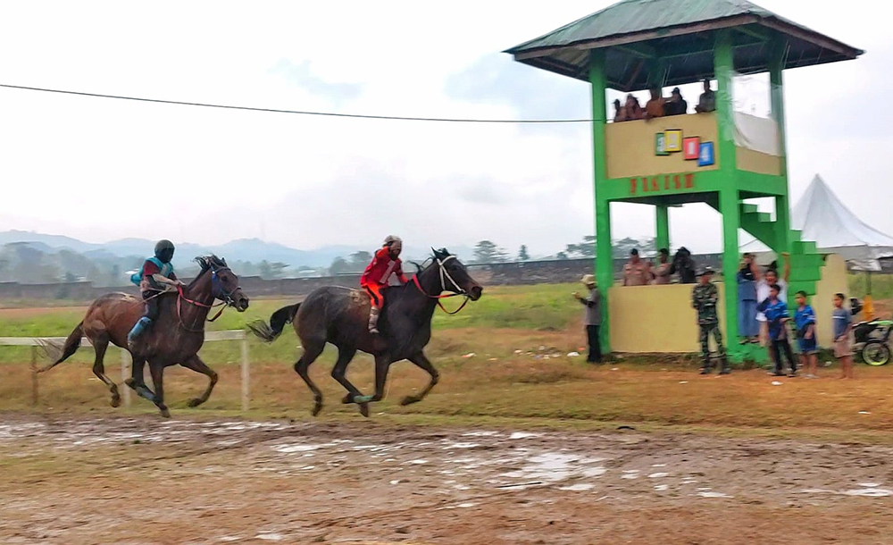 Menuju Standar Nasional, FN Pordasi Pacu Fokus pada Keselamatan Joki Cilik di Pacuan Kuda Sumba Barat